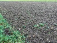 Der kleine Dienst (2) - Dienst der Liebe,Sehen