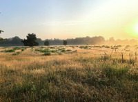 Trost seinen Kindern, die ihn lieben - auf Jesus sehn,er ist da