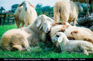 Gedanken zur Losung am 26.6.2023, -Gott ist ein Gott von dem ich 