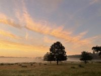 Licht ist dein Kleid - Licht,Kleid