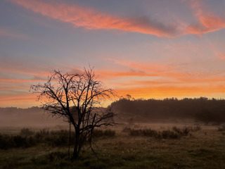 Mein dürres Leben vor deinem Licht - dürr,geliebt