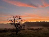 Mein dürres Leben vor deinem Licht - dürr,geliebt