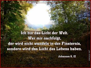 die unbestechliche Seele,... - die unbestechliche Seele,die geistige Kampfbereitschaft