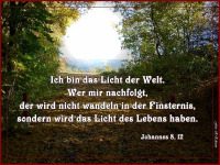 die unbestechliche Seele,... - die unbestechliche Seele,die geistige Kampfbereitschaft