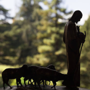 Was gehört (zu) Israel? - Israel,Bibelstudium,Vergleiche die Verse,Heilsverwaltungen,Lehre