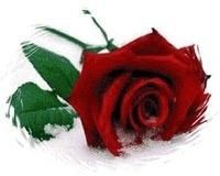 Nur für Dich - mal,recherchieren