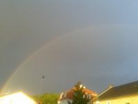 Es regnet - Schwester,Geschmack