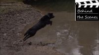 [Behind the Scenes] Hund springt ins Wasser - 1000FPS - Slow Motion - Video,Behind the Scenes,Tiere,Slow Motion,Natur