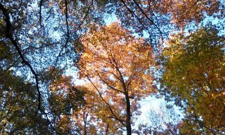 Christen und Politik - Kommentar zur politischen Diskussion,traurig