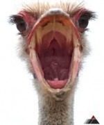 Christustag - Schreck lass nach!, Großveranstaltung, Gießen, Hessen