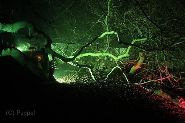 NEUJAHRSLEUCHTEN - Freizeit - Bad Nenndorf - Aktionen Niedersachsen