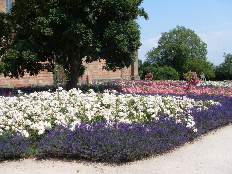 Freizeittreff Solingen und Umgebung  (+50km): Hobby