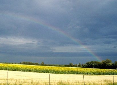 glücklich ohne Fernseher: Leben ohne Fernsehen