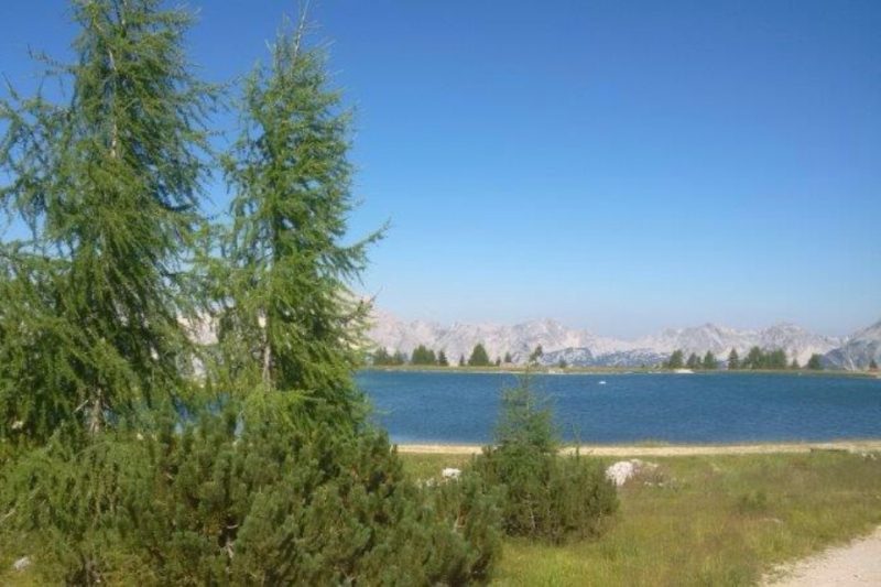 Österreich - Gruppe Bundesland