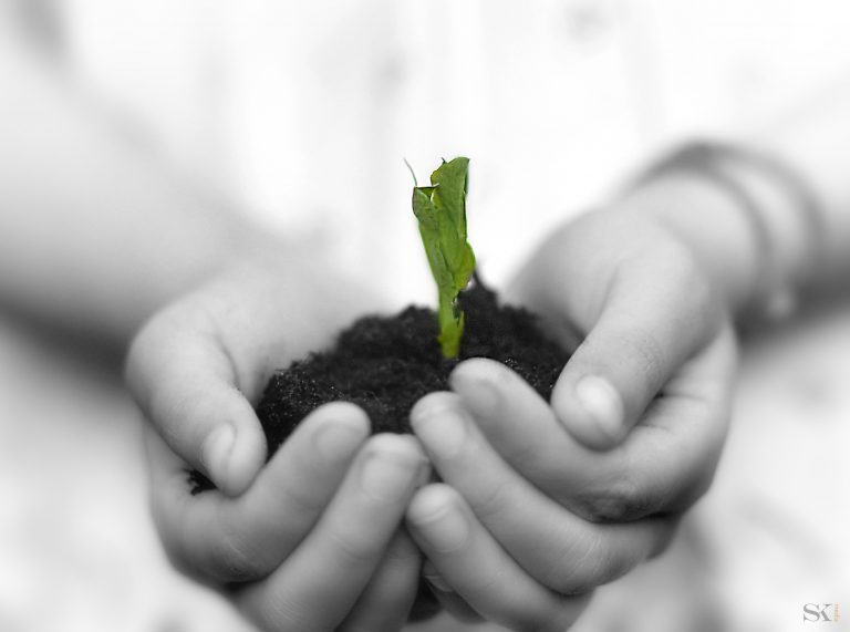 Evangelisation Deutschland: Für alle, die den Evangelisations-/ Missionsbefehl leben wollen.