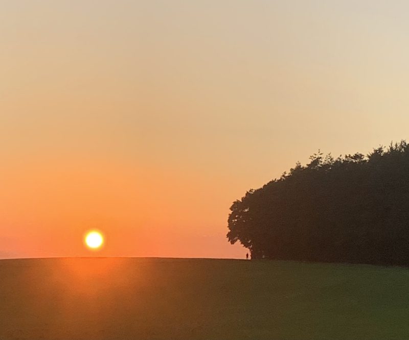 PostVac, PostCovid, LongCovid und ME/Cfs: Mit Chronische Erkrankung Leben