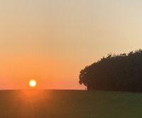 PostVac, PostCovid, LongCovid und ME/Cfs: Mit Chronische Erkrankung Leben