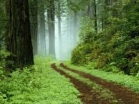 Schwäbische Albverein: Mut zum Wanderung