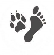 Tierfreunde: Tiere