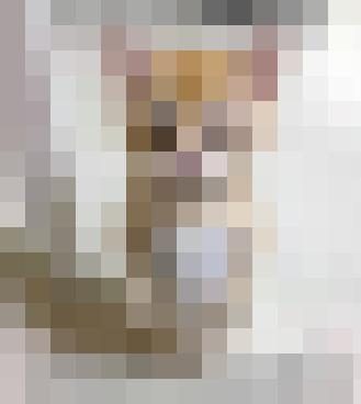 Aicha Zusatzbild #8