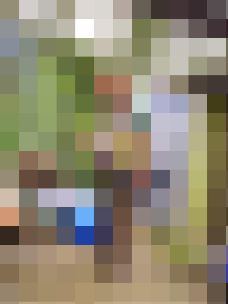 Rex460As Zusatzbild #1
