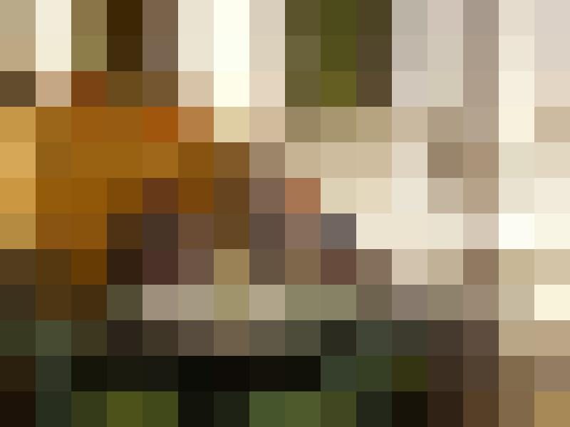 Rex460As Zusatzbild #2