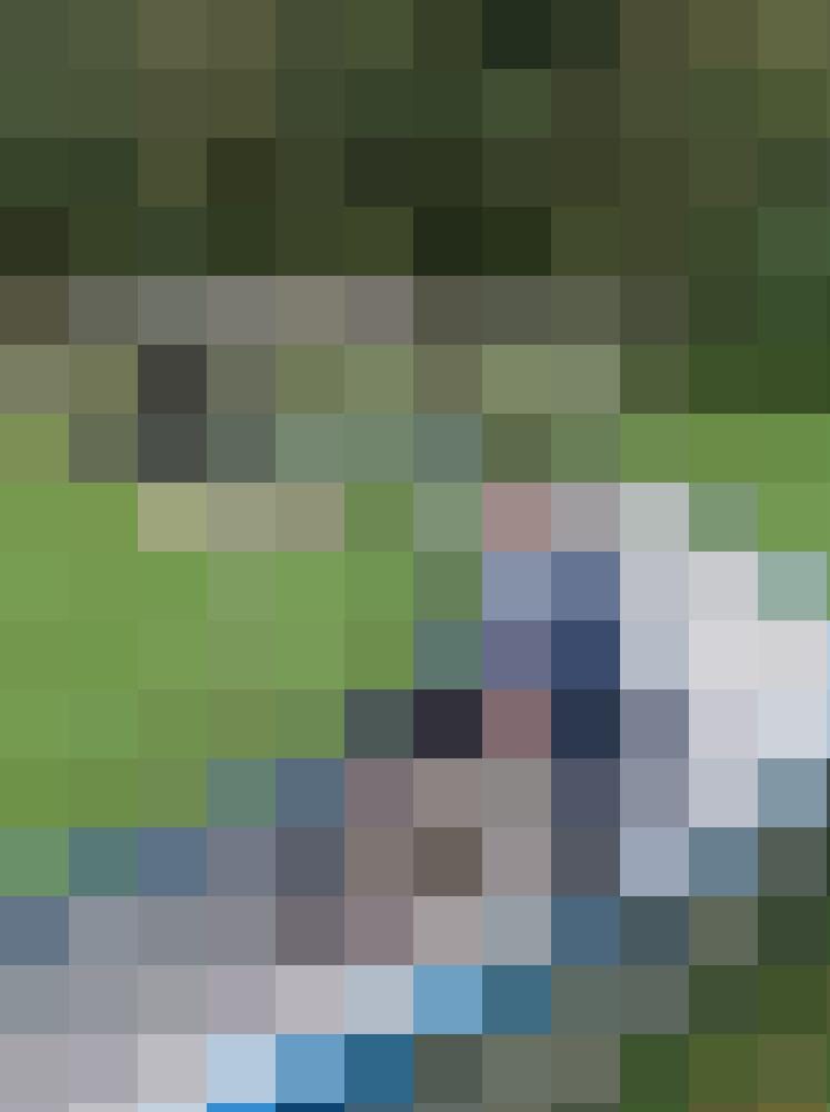 bezi1234 Profilbild