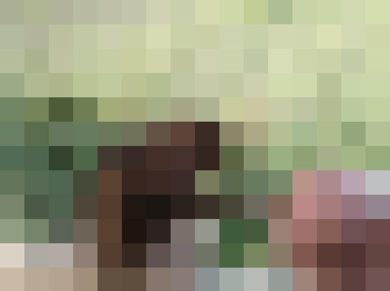 Savi Zusatzbild #2