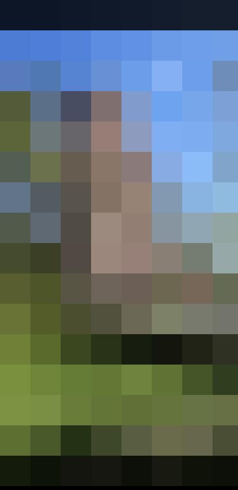 Petersilie Zusatzbild #1