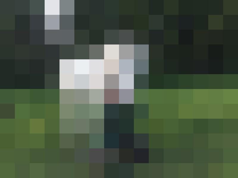 EngelBengel1 Profilbild