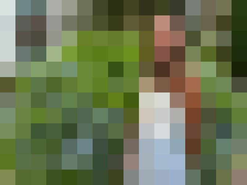 PlantIla Profilbild