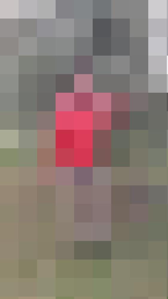 Florifex Profilbild