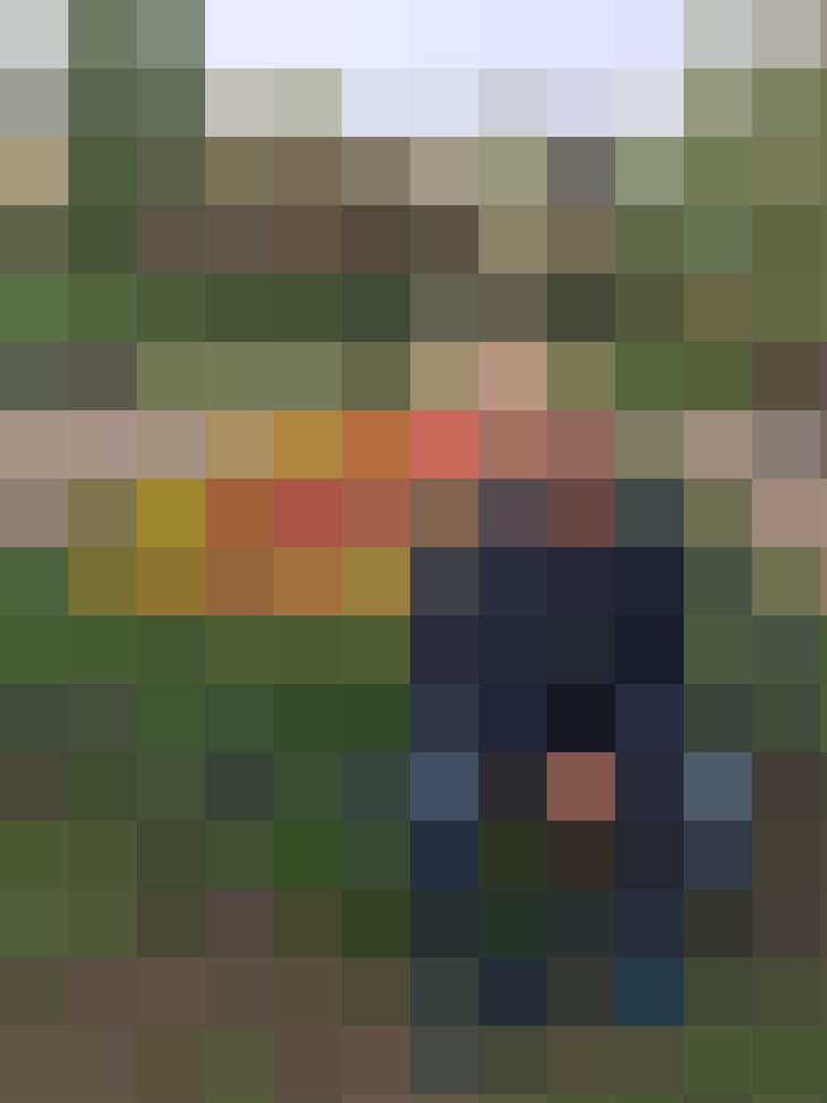 Oil_Tree7 Profilbild