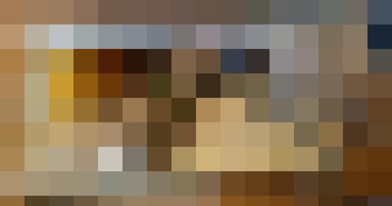 Timothey Zusatzbild #9