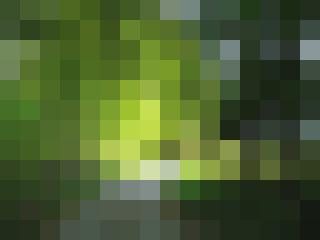 Bori Zusatzbild #6