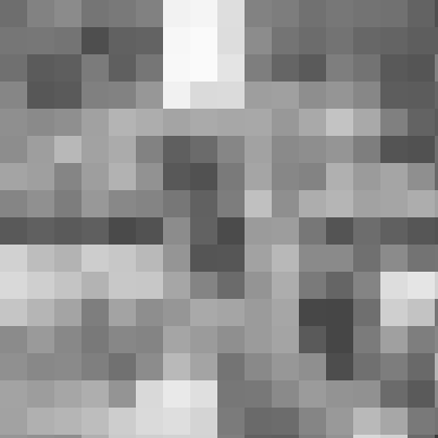 Milchkuh Profilbild