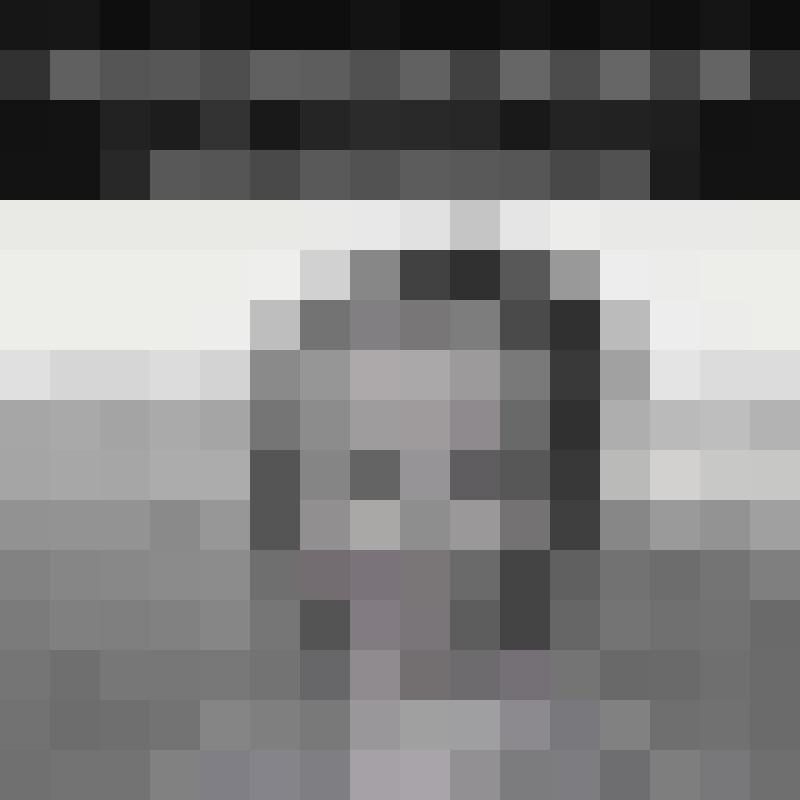 Botschafterin Zusatzbild #8