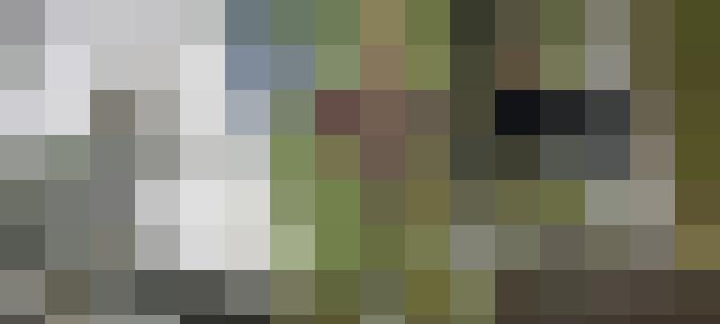 Spica Profilbild