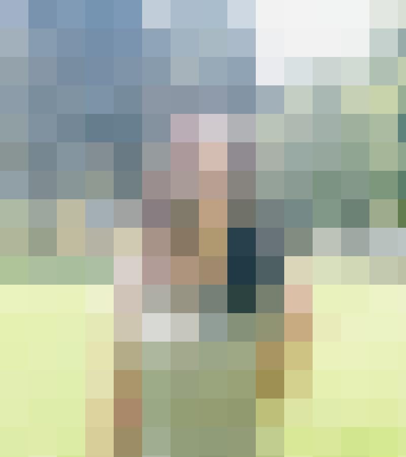 Rosenlicht Profilbild