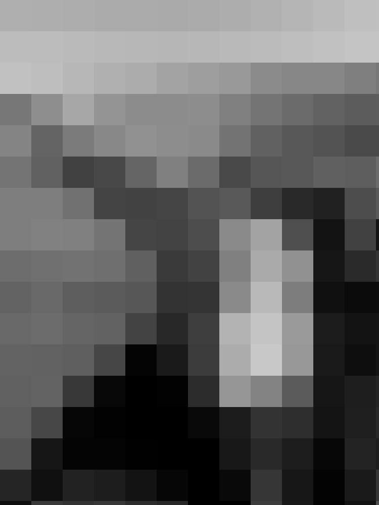 Janosch2025 Zusatzbild #2