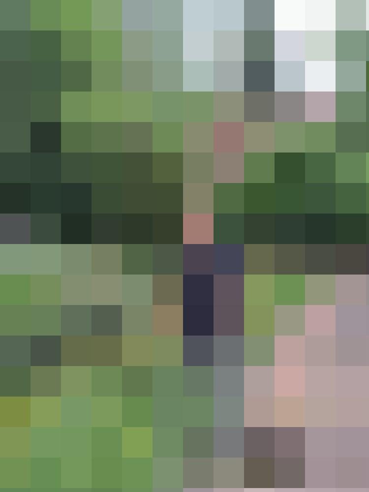 Sa.M.82 Zusatzbild #8