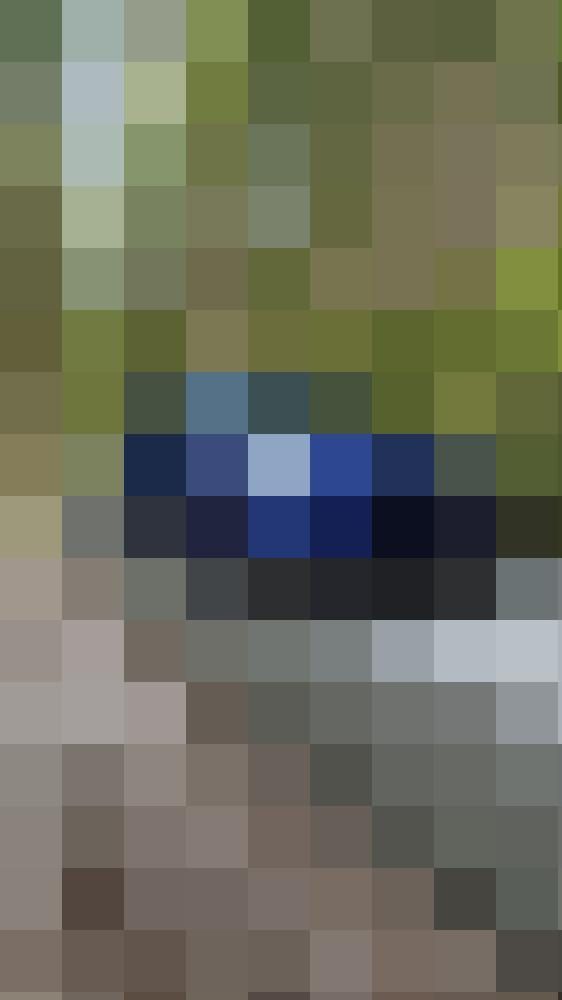 David717 Zusatzbild #4