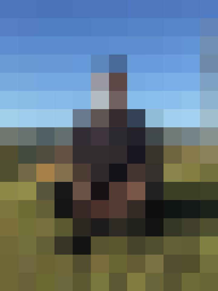 David_ Zusatzbild #1