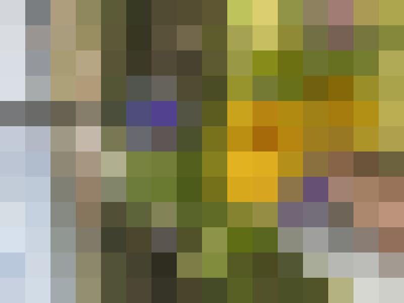 Here_I_am Zusatzbild #2