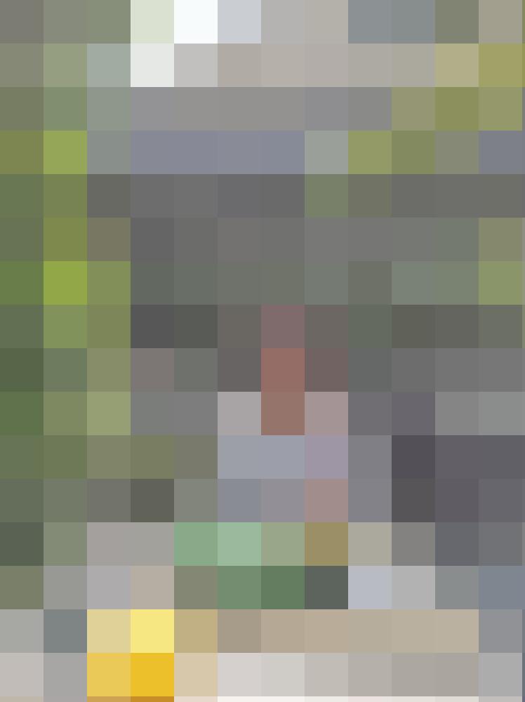 Pfingstrosen Profilbild
