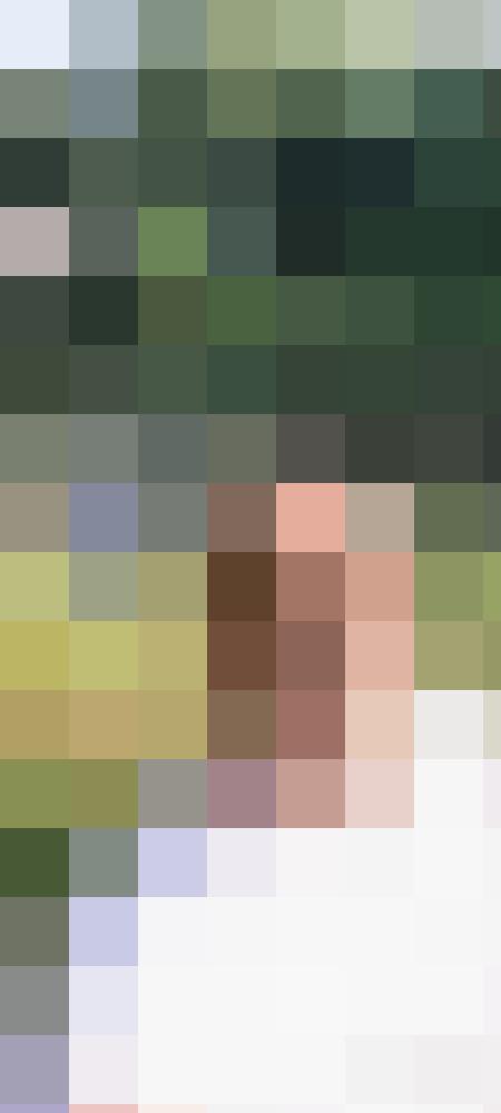 Piyer Profilbild