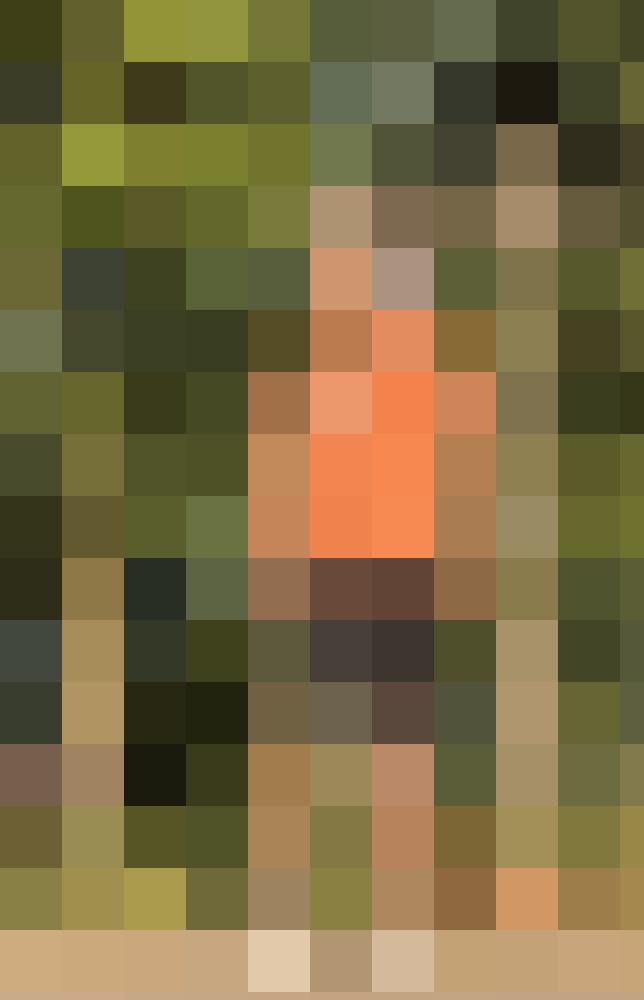 Saschii Zusatzbild #11