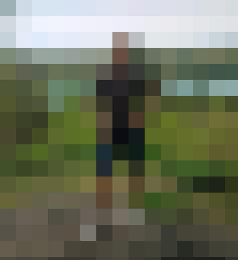Piepser91 Profilbild