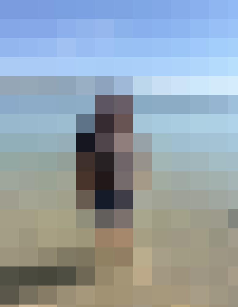 Schaf44 Zusatzbild #11