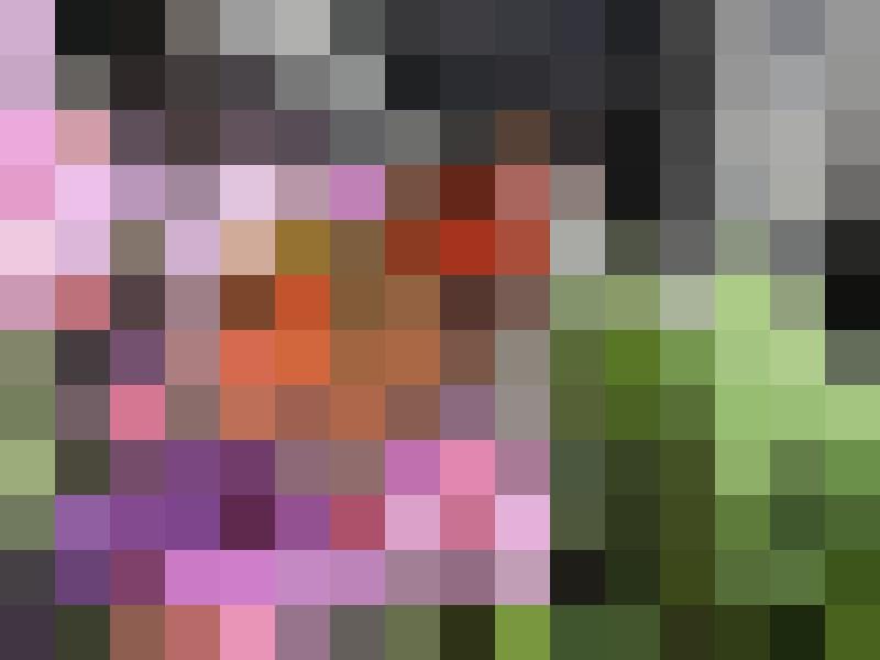 Jochen Zusatzbild #11